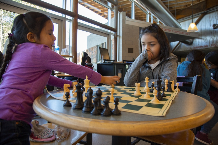 Chess3