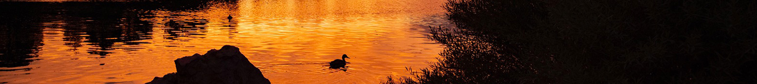 Northern Arizona Landscape Photograph by Larry Hendricks