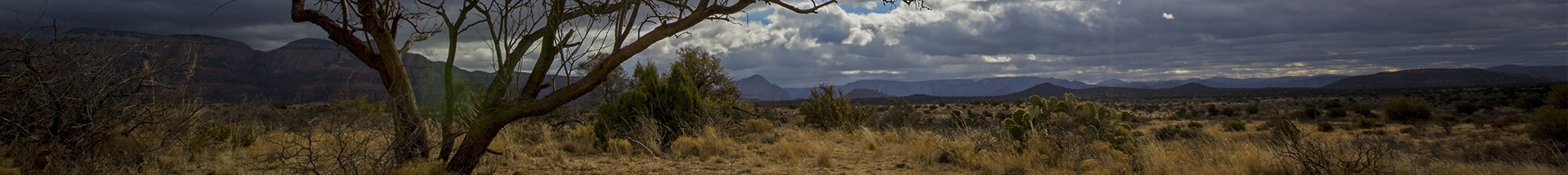Northern Arizona Landscape Photograph by Larry Hendricks