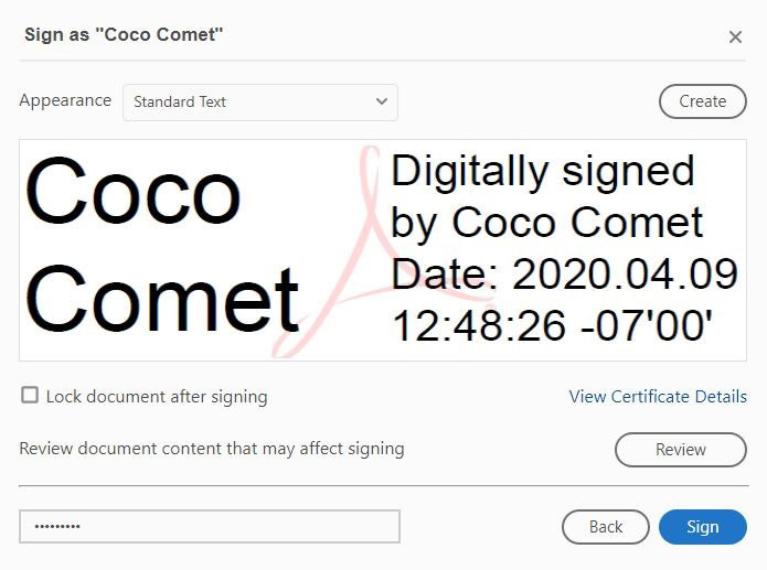 Sign as 'Coco Comet' box opened, with Coco Comet being the example name given in prior steps. A signature box is shown with Coco Comet large displayed as an example