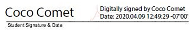 A filled signature field is shown with Coco Comet large with the date next to the name
