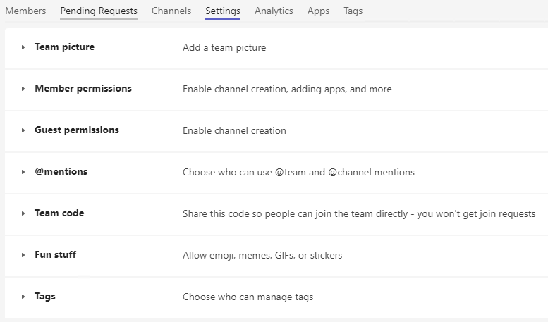 "Manage Team" menu displayed with the Settings tab selected. Team Picture, Member Permissions, Guest Permissions, Mentions, Team Code, Fun Stuff, and tags
