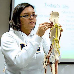 Engineering, Math and Sciences Pathway - Biology Photo