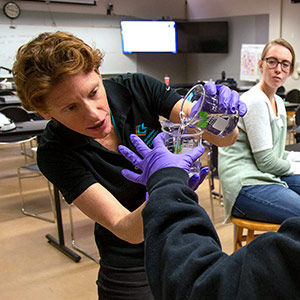 Engineering, Math and Sciences Pathway - Chemistry Photo