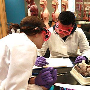 Engineering, Math and Sciences Pathway - Transfer Degree Photo