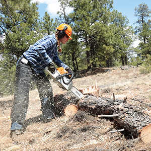 Public Safety Fire Science Photo