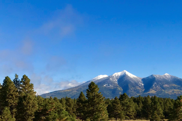 The San Francisco Peaks, Flagstaff, Arizona