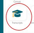 transcripts 1