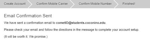 Rave Email Confirmation Page asking to check your email for a confirmation email