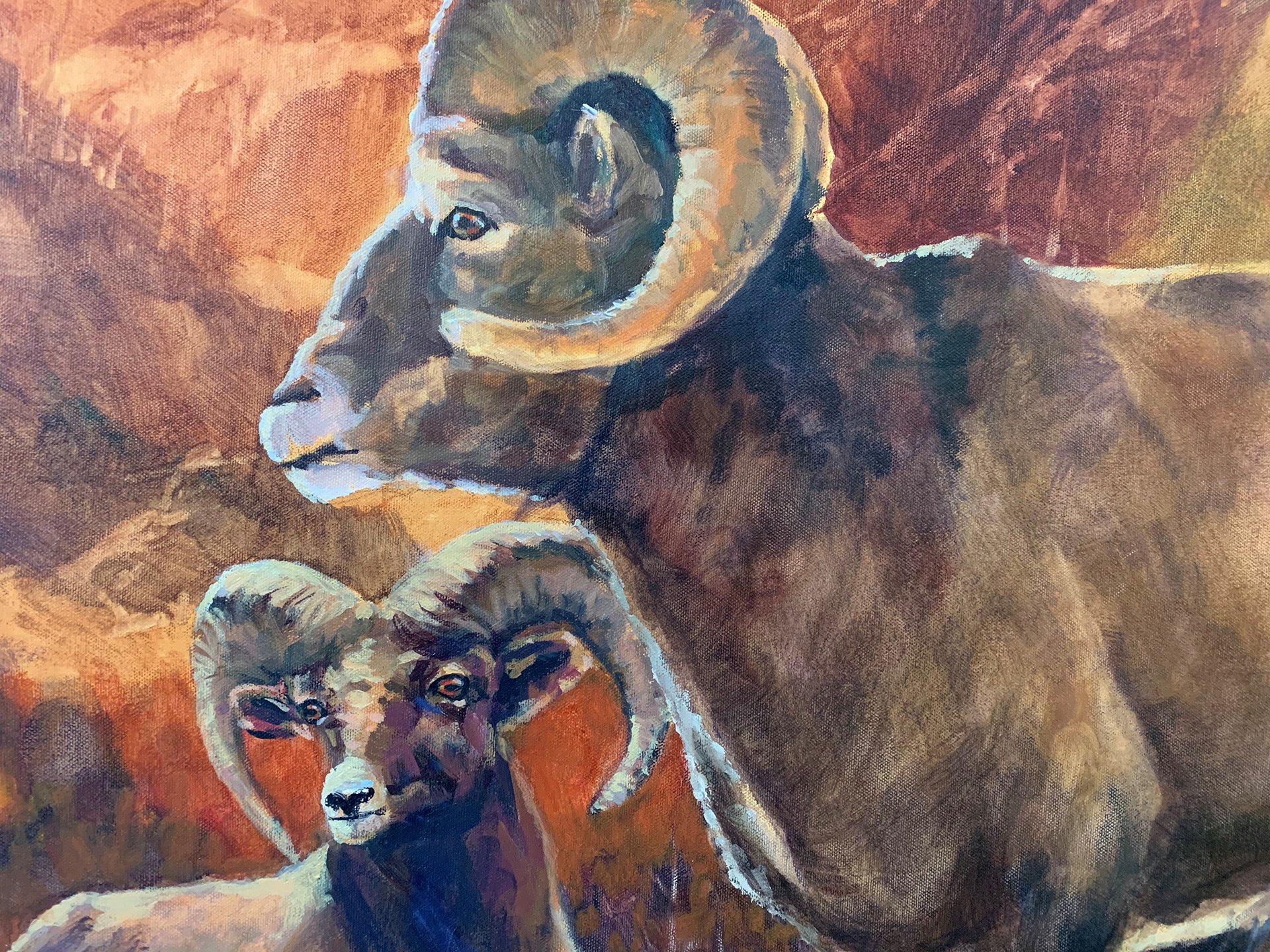 Big Horn Sheep Painting