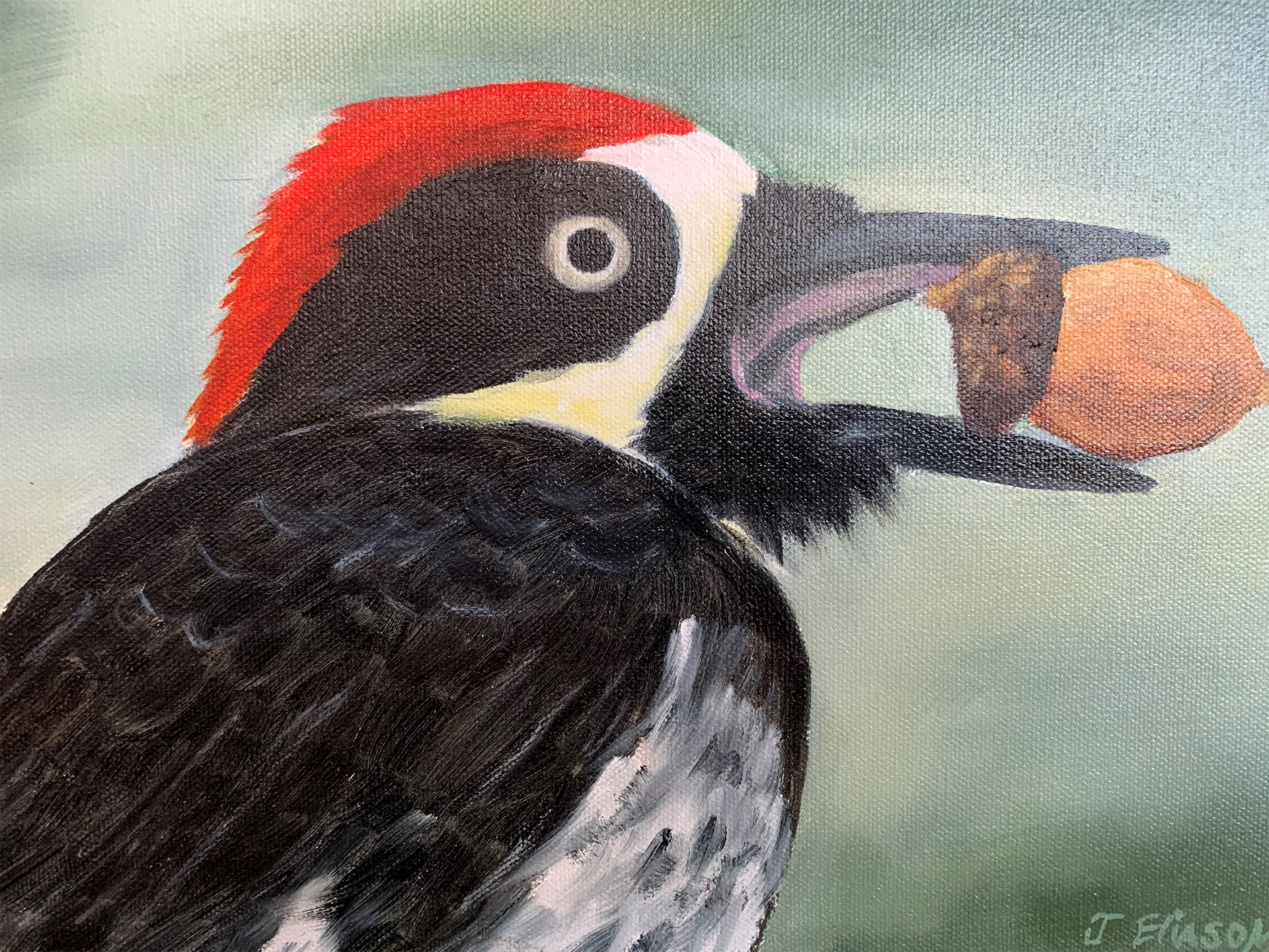 Woodpekcer Painting by J Eliason